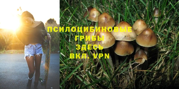 mdma Билибино