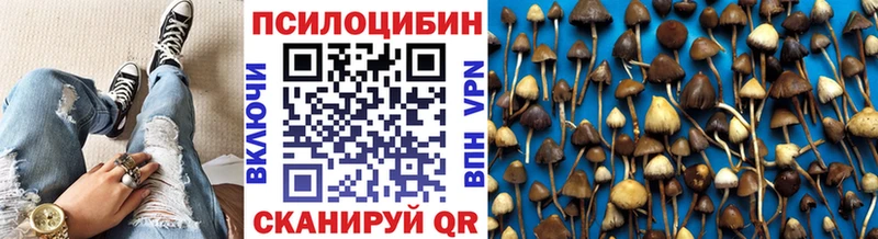 мега вход  Темрюк  это телеграм  магазин    Псилоцибиновые грибы Magic Shrooms 