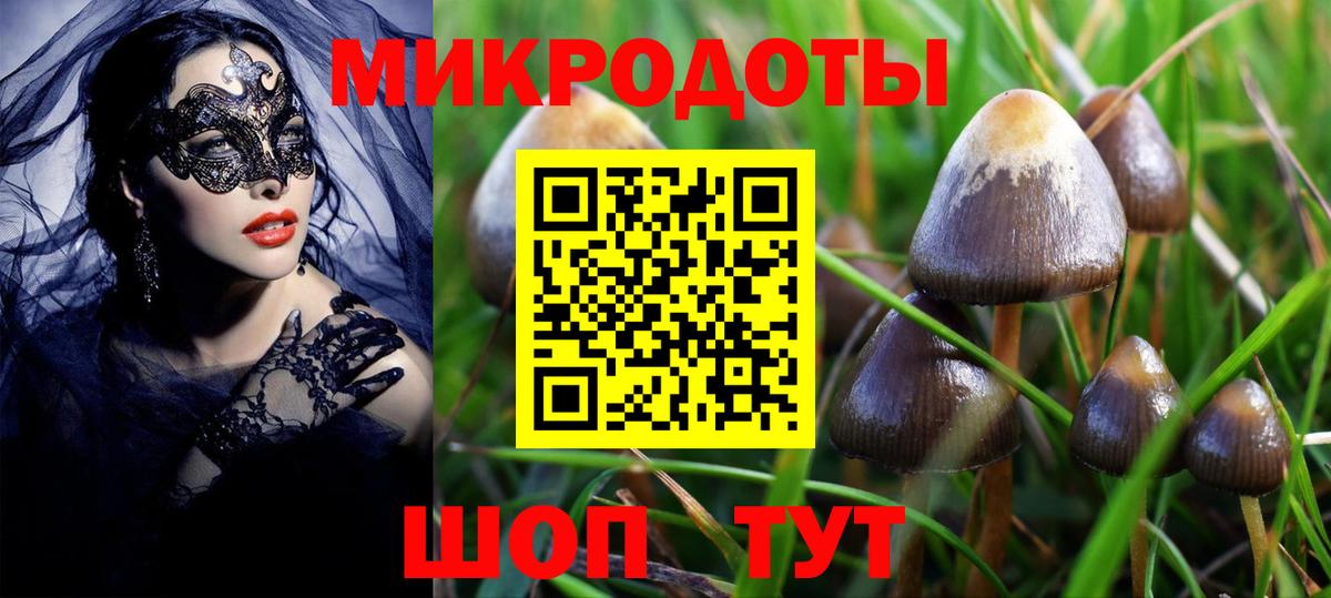Галлюциногенные грибы MAGIC MUSHROOMS  Вход с VPN  Темрюк 